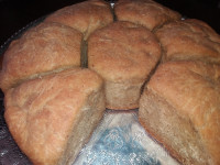 تفتون در فر