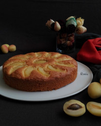 کیک زردآلو
