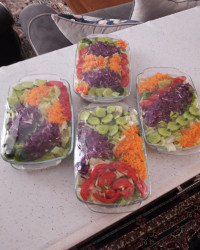 سالادای من برای مهمونای عزیزم