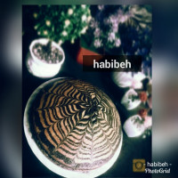 کیک دورنگ (زبراکیک)