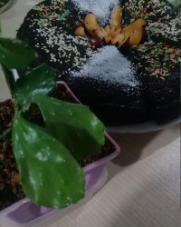 کیک شکلاتی رژیمی