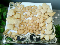 بیسکوییت کاسترد