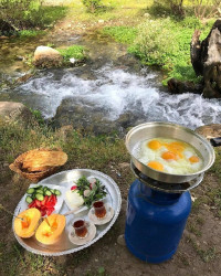 صبحانه تو دل طبیعت