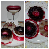 پاناکوتا وژله