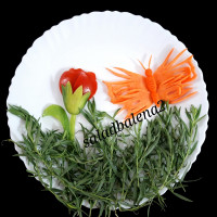 پروانه با هویج