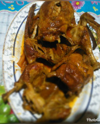 اردک باسس مخصوص