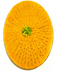 ترحلوای زعفرانی