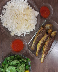 جای دوستان خالی