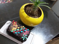 کیک یخچالی. حلوا