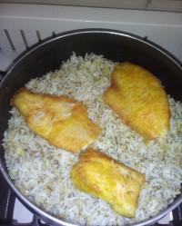 شویدپلوباماهی