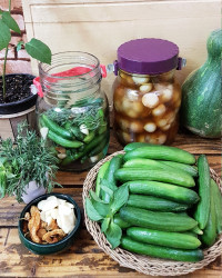 خیارشور و سیرترشی ??