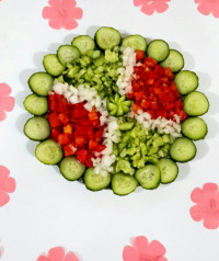 سالادشیرازی