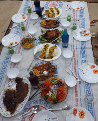 شام دیشب من برای مهمونام?