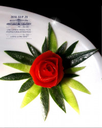 دورچین ساده