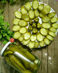 خیارشور یک روزه