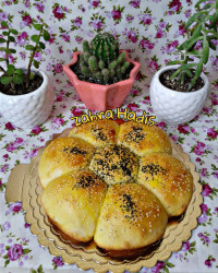 (کلن) نون شمالی