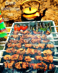 شیشلیک شاندیز
