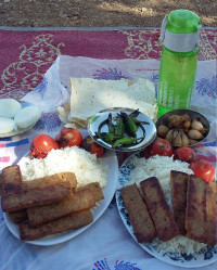 نهار در طبیعت