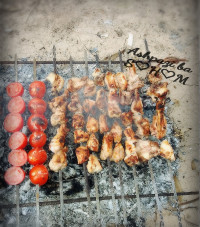 جوجه کباب در طبیعت