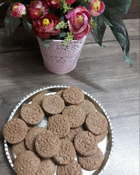 بیسکوییت کاکائویی