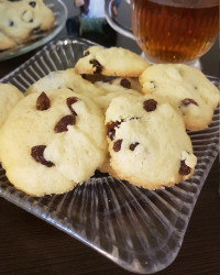 جای همگی خالی