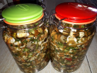 ترشی مخلوط (هفت بیجار) .