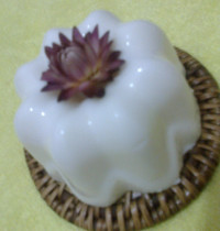 چیز کیک قالبی