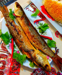 ماهی دریا (کفال)