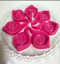 ژله بستنی دو رنگ (35)