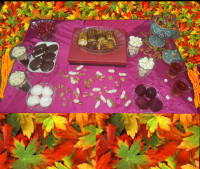 دور همی یک شب سرد پاییزی