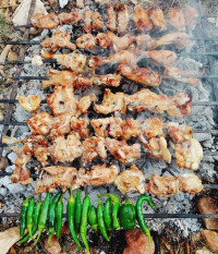 جوجــه کبــاب