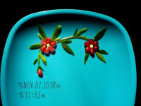 دورچین ساده