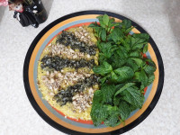 کشک بادمجووووون..