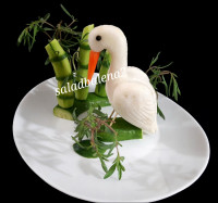 پرنده با ترب