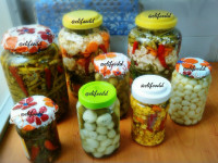 ترشی های من