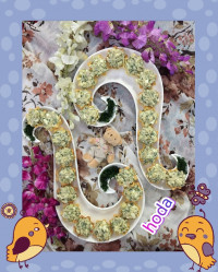 سالاد فرانسوی داخل نان تارت