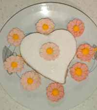 ژله بستی یک رنگ