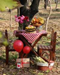 کیک خیس شکلاتی