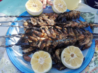 کباب میگو