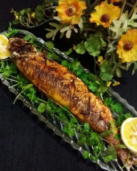 ماهی سفید شکم پر