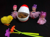 پشت زیک شیرینی محلی مازندرانی