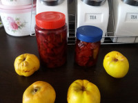 مربای به خوشرنگ وخوشمزه