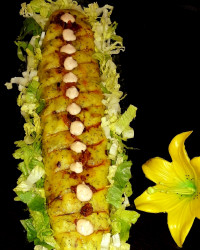 پوره سیب زمینی شکم پر