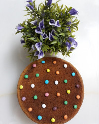 کیک زبرا با مغز گردو دانشجوی من روزت مبارک عزیز دلم