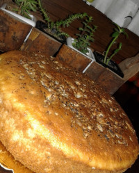 کیک دارم چ کیکی