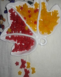 قندرنگی پروانه ای