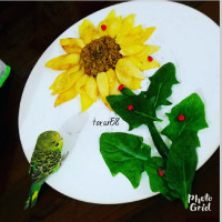 نهار لاکچری