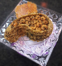 میگوهواری (میگوپلوجنوبی)