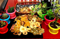 میوه خشک شده