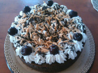 کیک شکلاتی گردویی